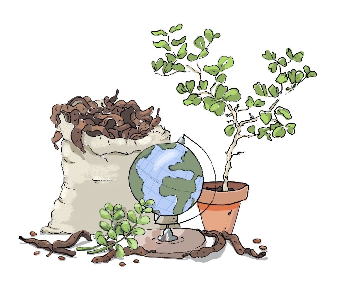 Carob and enviroment protection